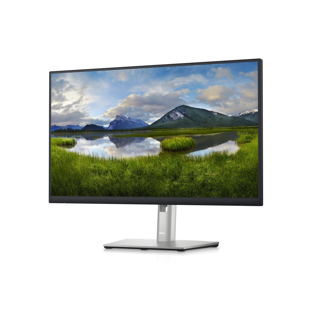 Dell Monitor 24P P2423D 2560x1440 a 60 Hz Hz IPS