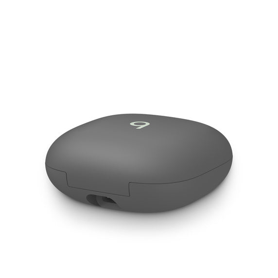 Apple Fit Pro Earbuds Sage Grey