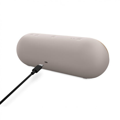 Apple Pill Speaker - Champagne Gold