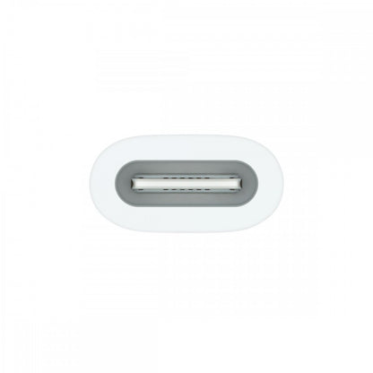 Apple Adaptador USB-C - Pencil