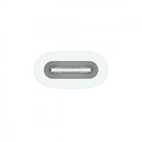 Apple Adaptador USB-C - Pencil
