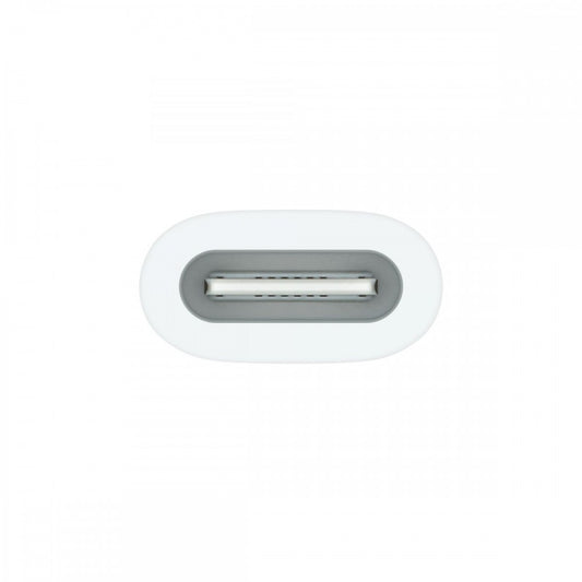 Apple Adaptador USB-C - Pencil