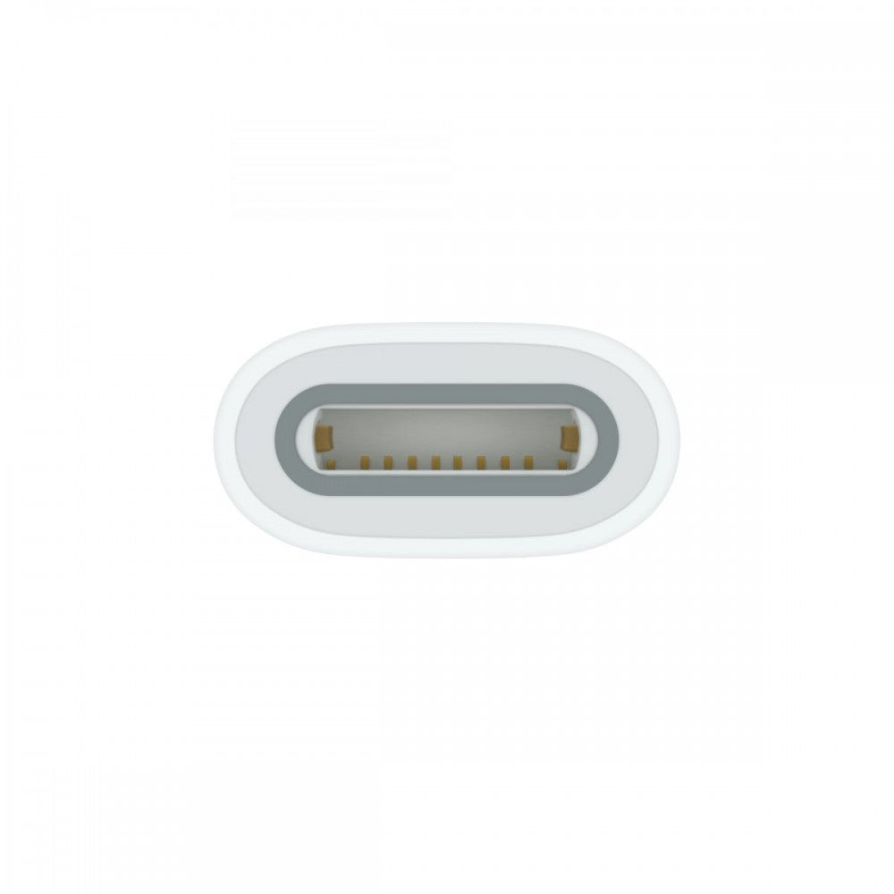Apple Adaptador USB-C - Pencil