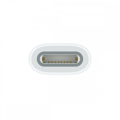 Apple Adaptador USB-C - Pencil