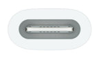 Apple Adaptador USB-C - Pencil
