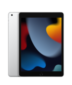 Apple iPad 10.2 Wi-Fi 256Gb Prateado