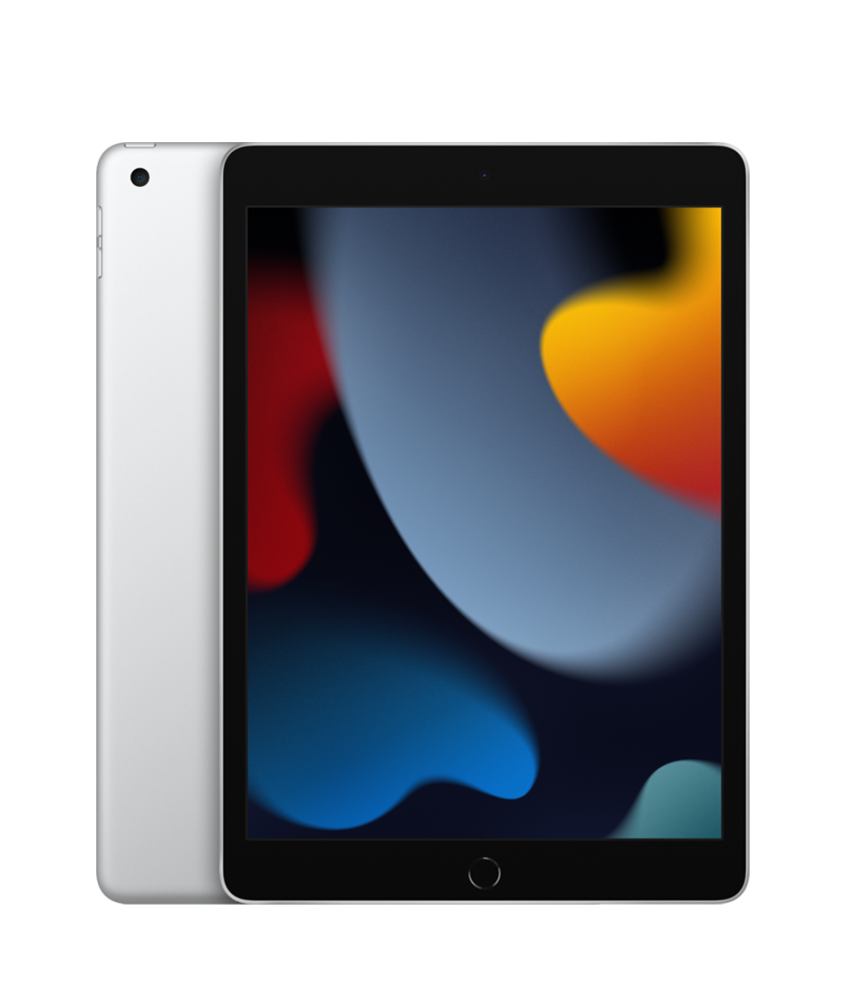 Apple iPad 10.2 Wi-Fi 256Gb Prateado
