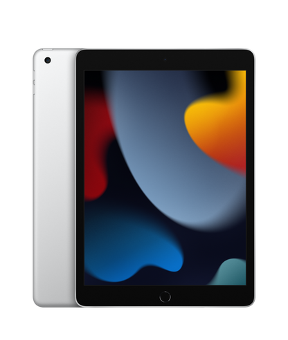 Apple iPad 10.2 Wi-Fi 256Gb Prateado