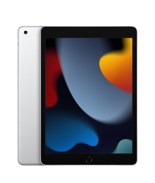 Apple iPad 10.2 Wi-Fi 256Gb Prateado