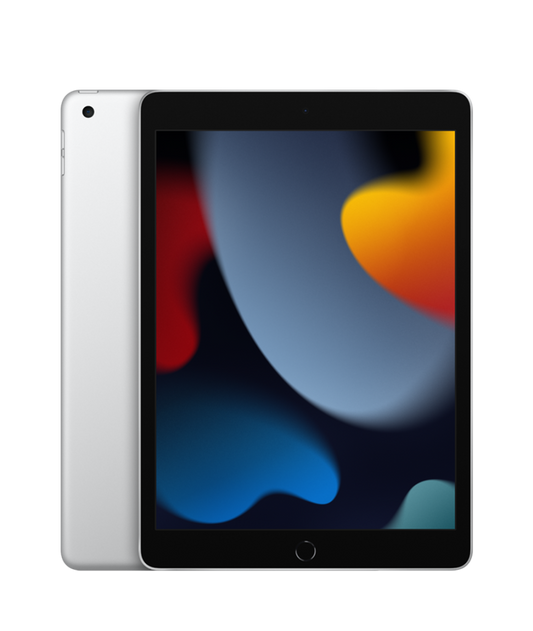 Apple iPad 10.2 Wi-Fi 256Gb Prateado
