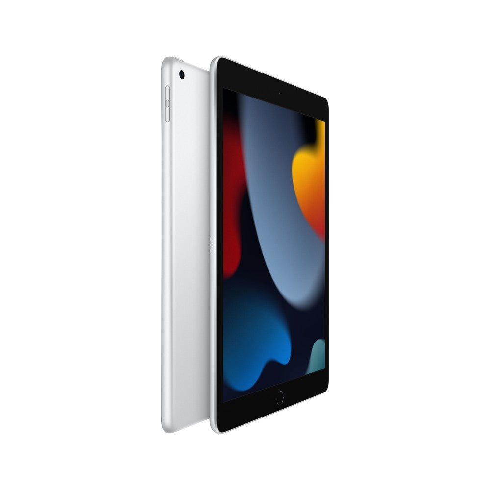 Apple iPad 10.2 Wi-Fi 256Gb Prateado