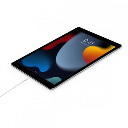 Apple Cabo Usb-C - Lightning (2m)