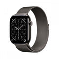 Apple Watch S11 Cell 46mm Slate Ti/Slate Mil S/M