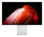 Apple Prateado Display XDR Standard