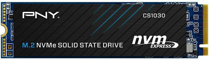 SSD PNY CS1030 250GB M.2 NVMe (2000/1100MB/s)