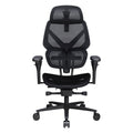 Cadeira Ergonómica TX3 (ThunderX3) FLEX Pro, Apoio lombar 360° - Mesh Black